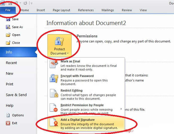 ký số file word excel